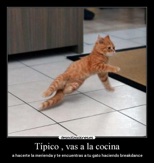 Típico , vas a la cocina -