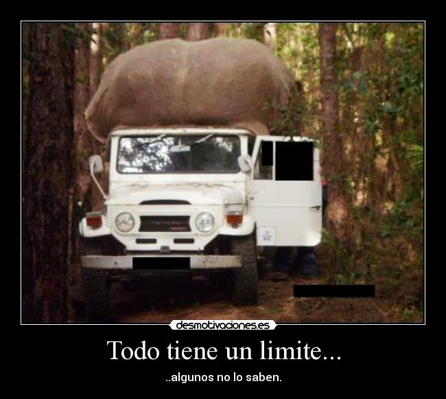 Todo tiene un limite... - ..algunos no lo saben.