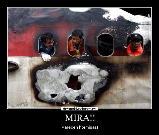 MIRA!! - Parecen hormigas!