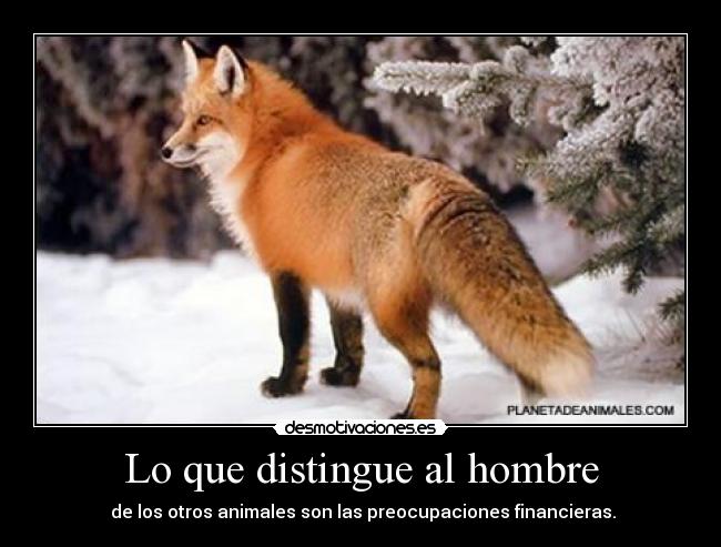 Lo que distingue al hombre -  de los otros animales son las preocupaciones financieras.