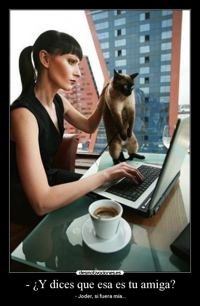 - ¿Y dices que esa es tu amiga? - 
