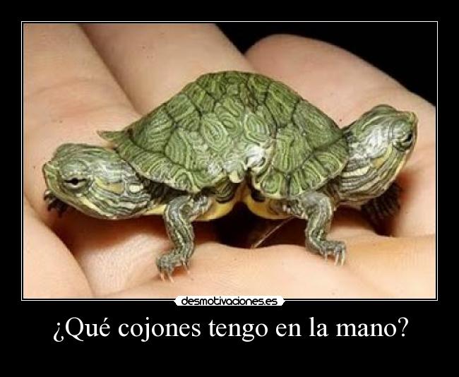 ¿Qué cojones tengo en la mano? -
