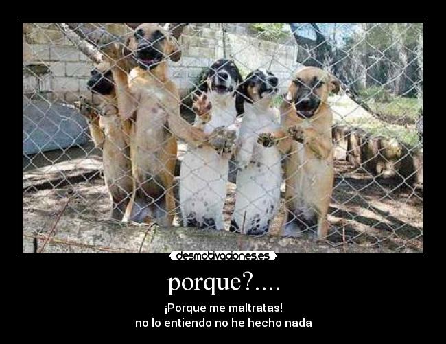 porque?.... - ¡Porque me maltratas!
no lo entiendo no he hecho nada