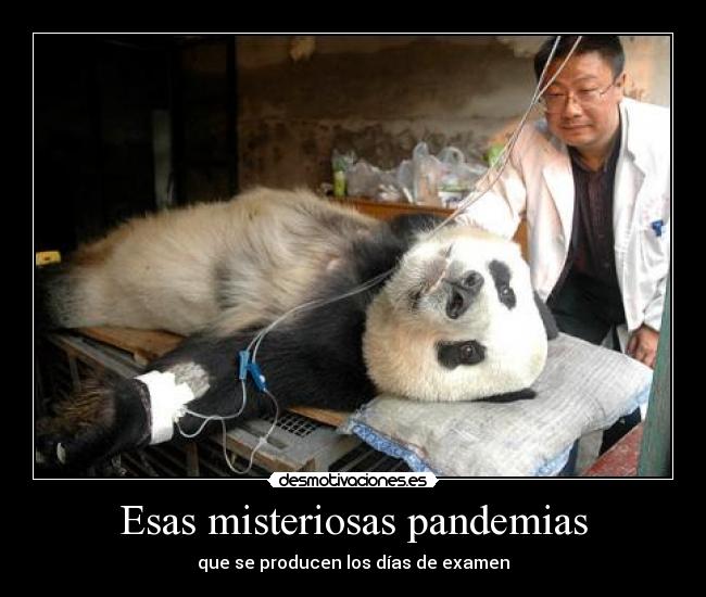 carteles esas misteriosas pandemias desmotivaciones