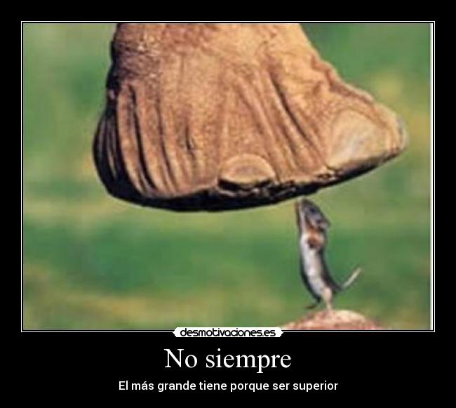 No siempre -