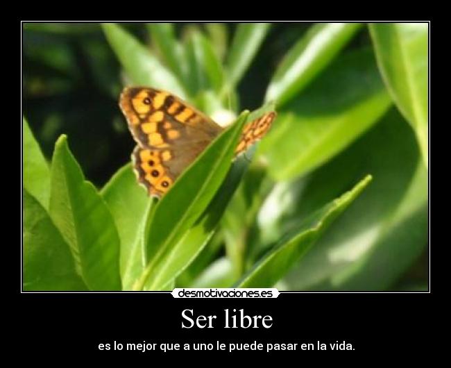 Ser libre - es lo mejor que a uno le puede pasar en la vida.