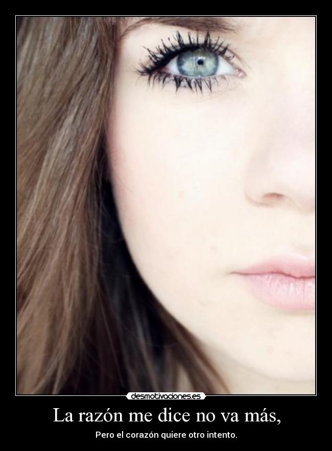 carteles razon dice mas pero corazon quiere otro intento desmotivaciones