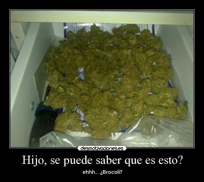 carteles marihuana verduras brocoli hijo mama desmotivaciones