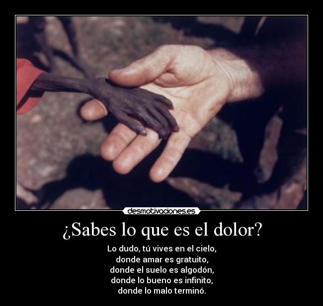 carteles dolor dolor horrible africa impactante lunnarisdeidhun desmotivaciones