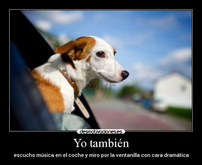 Yo también -