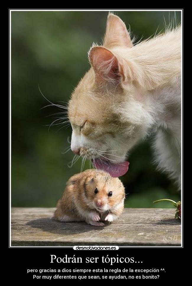 Podrán ser tópicos... - 