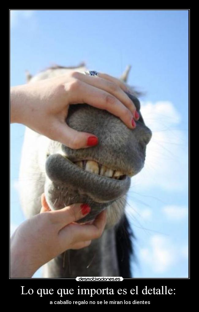 carteles detalle del caballo desmotivaciones