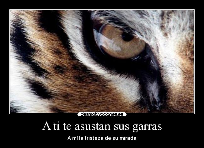 carteles mirada desmotivaciones