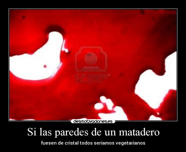 Si las paredes de un matadero - fuesen de cristal todos seriamos vegetarianos