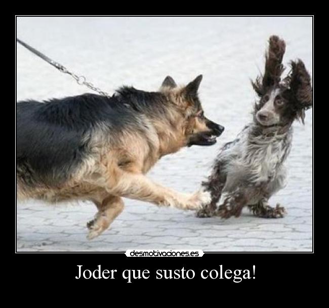 Joder que susto colega! - 