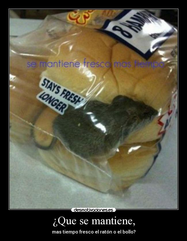 ¿Que se mantiene, -