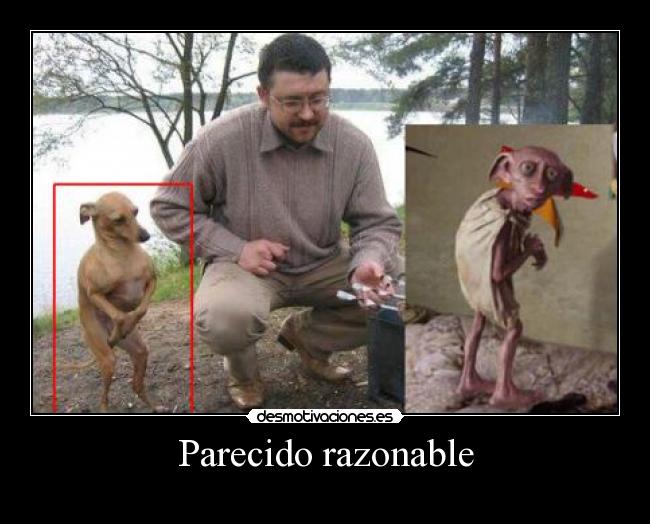 Parecido razonable - 