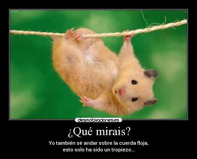 carteles andarcuerdafloja desmotivaciones