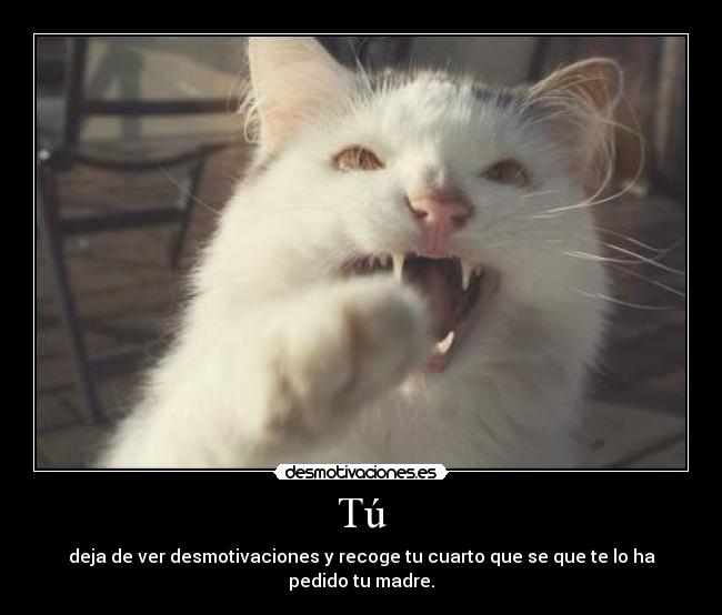 Tú - deja de ver desmotivaciones y recoge tu cuarto que se que te lo ha pedido tu madre.