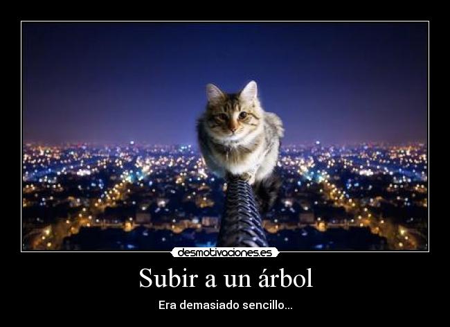 Subir a un árbol - 
