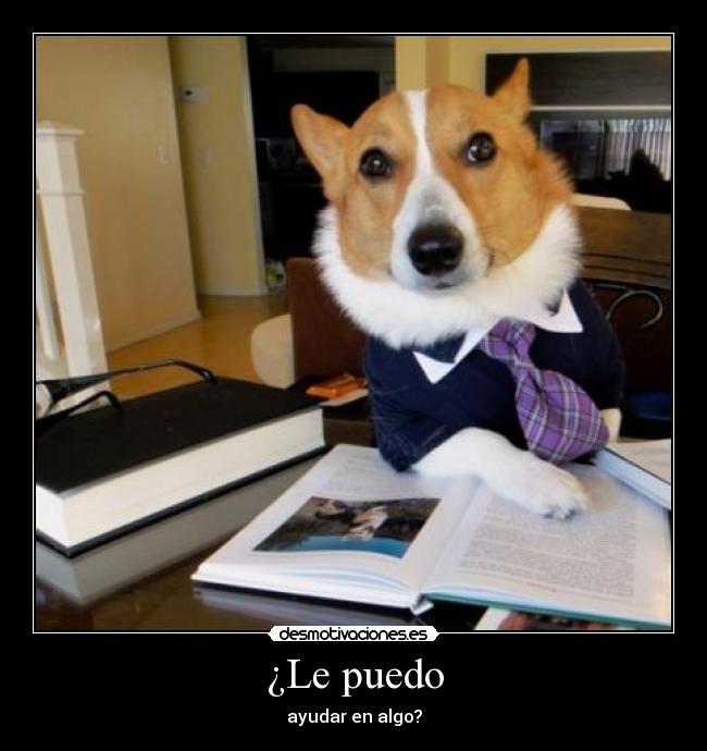 ¿Le puedo - 