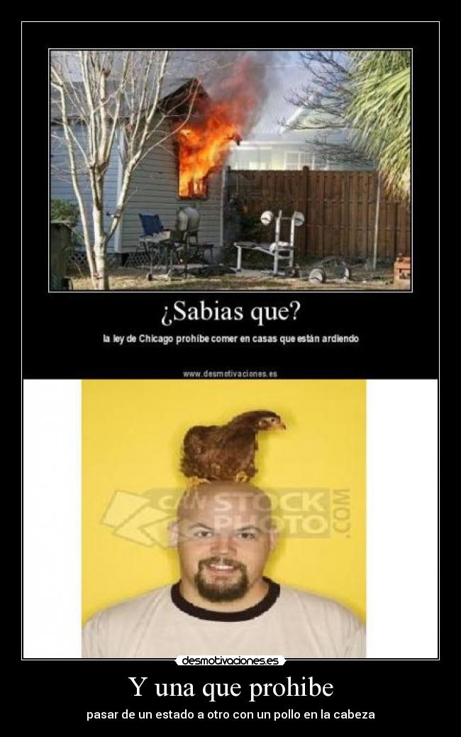 Y una que prohibe - pasar de un estado a otro con un pollo en la cabeza