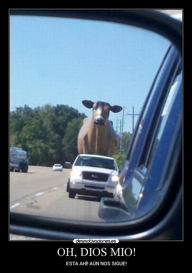 OH, DIOS MIO! - 