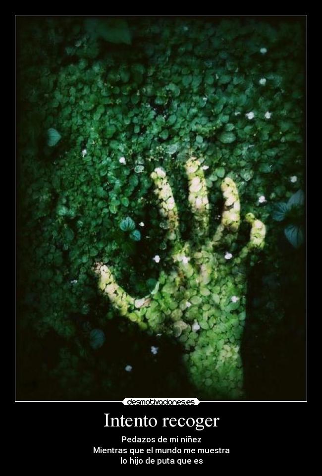 Intento recoger -