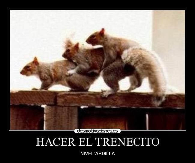 HACER EL TRENECITO - NIVEL:ARDILLA