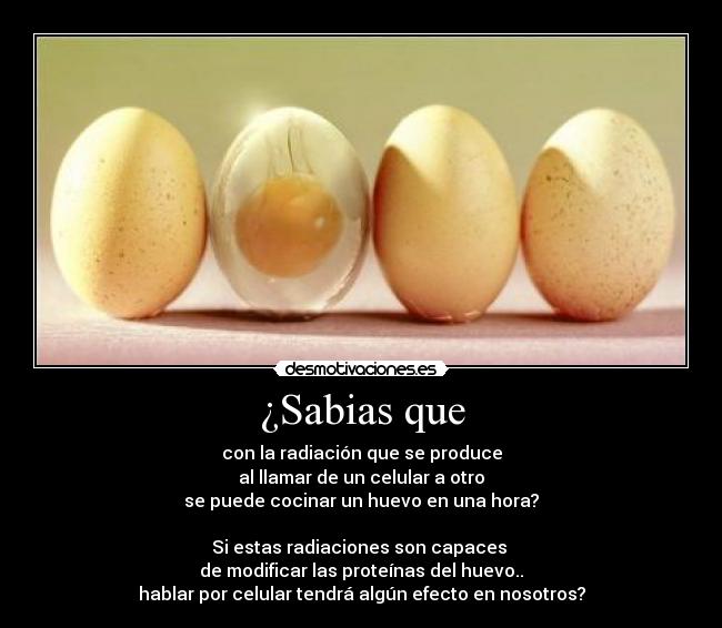 ¿Sabias que - con la radiación que se produce
al llamar de un celular a otro
se puede cocinar un huevo en una hora?

Si estas radiaciones son capaces 
de modificar las proteínas del huevo..
hablar por celular tendrá algún efecto en nosotros?