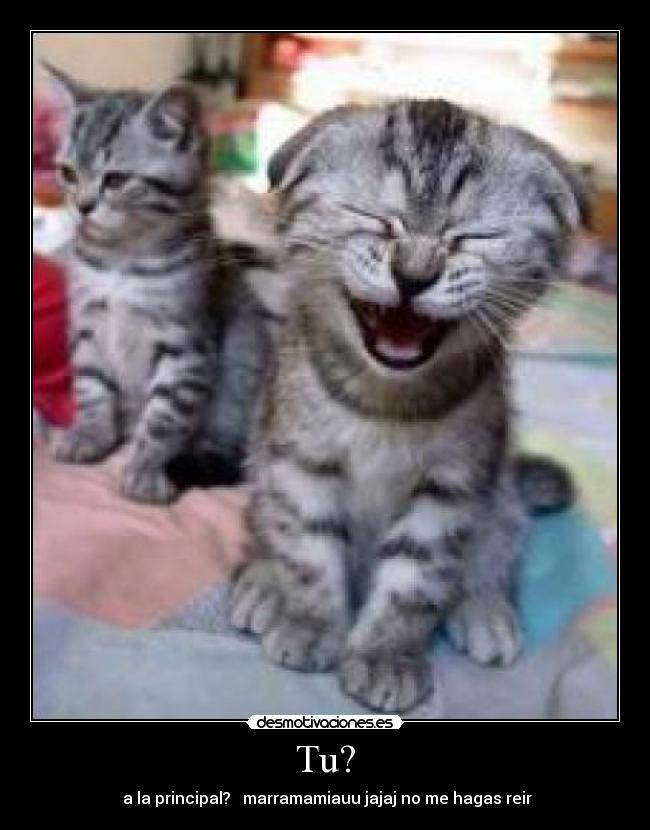 Tu? - a la principal? marramamiauu jajaj no me hagas reir
