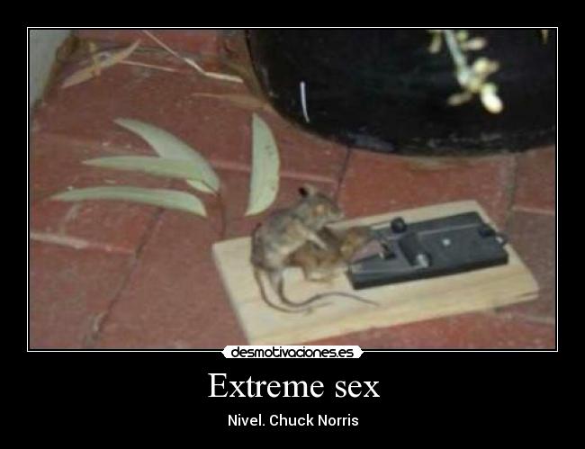 Extreme sex - Nivel. Chuck Norris