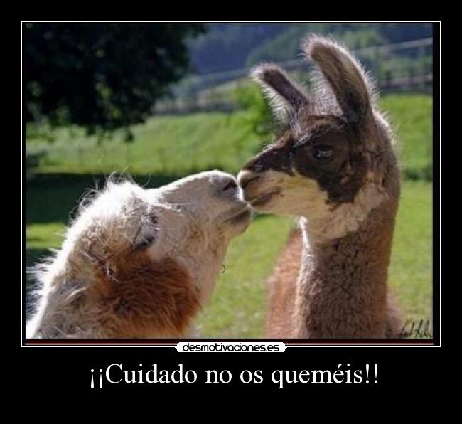 ¡¡Cuidado no os queméis!! - 