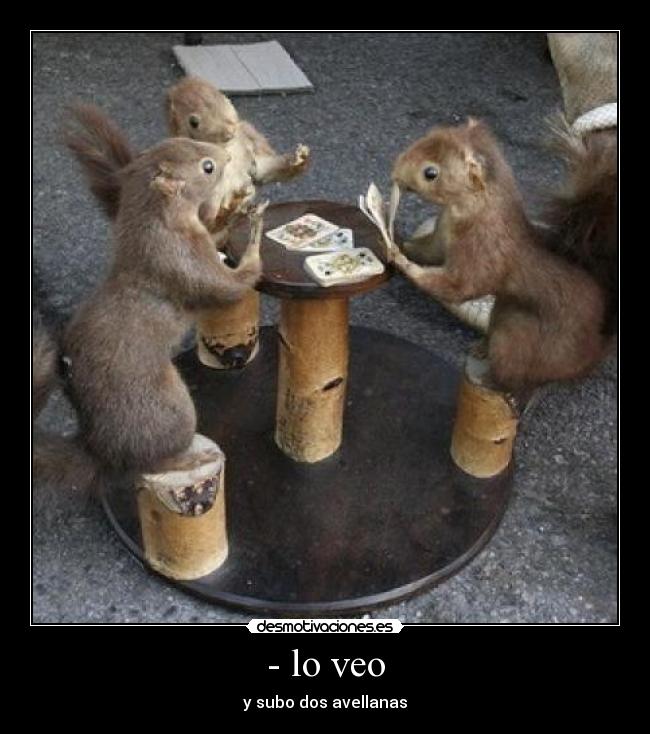 carteles ardillas desmotivaciones