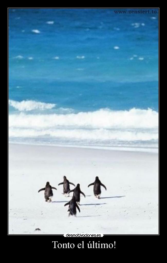 Tonto el último! -