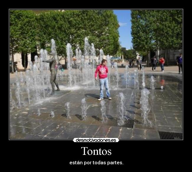 Tontos - están por todas partes.