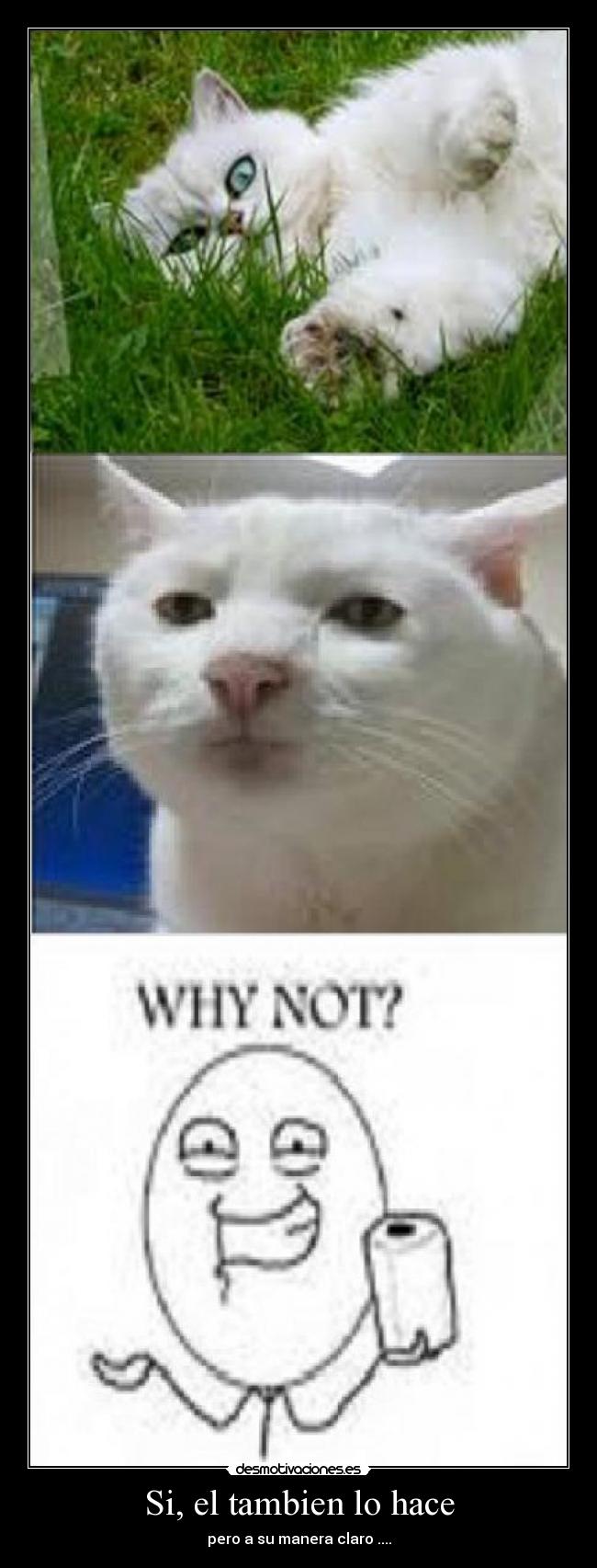 Si, el tambien lo hace - pero a su manera claro ....