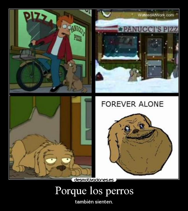 Porque los perros - también sienten.