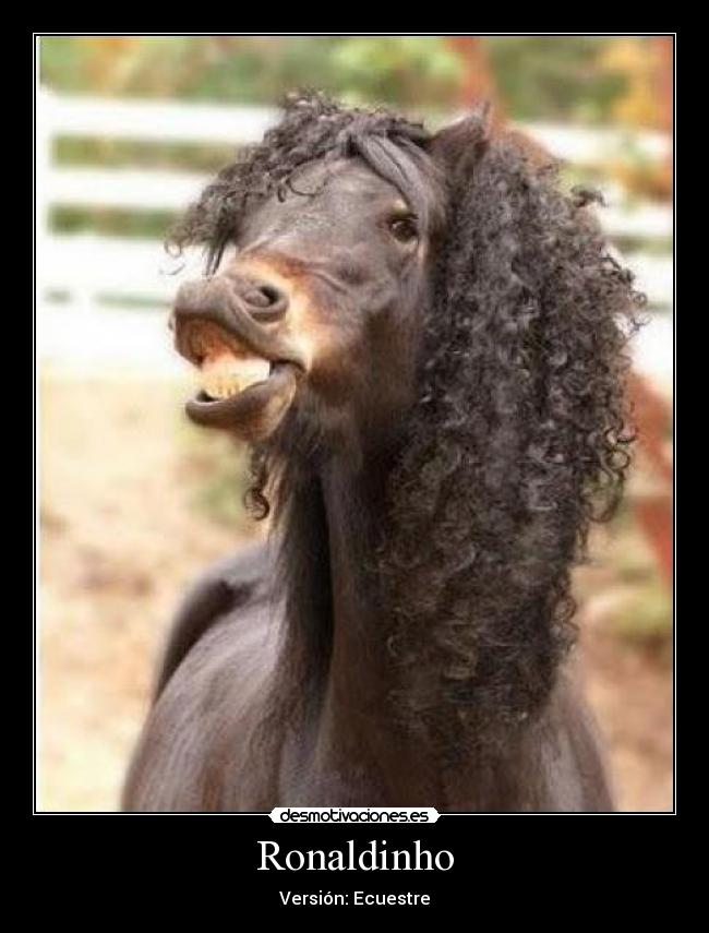 carteles caballos que creen jugadores futbol ronaldinho desmotivaciones