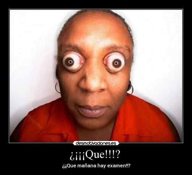 ¿¡¡¡Que!!!?  - 