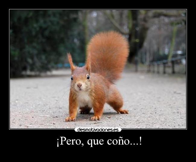 ¡Pero, que coño...! -