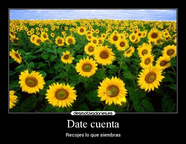 Date cuenta - Recojes lo que siembras