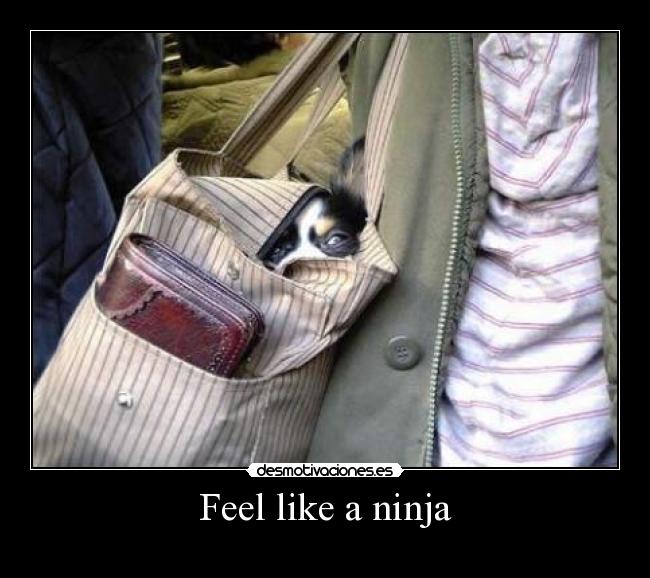 Feel like a ninja -