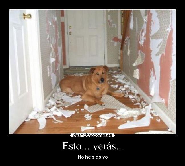 Esto... verás... - No he sido yo