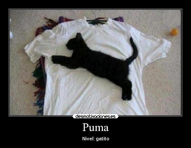 Puma - 