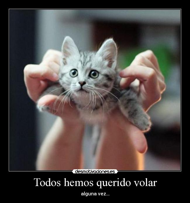 Todos hemos querido volar -