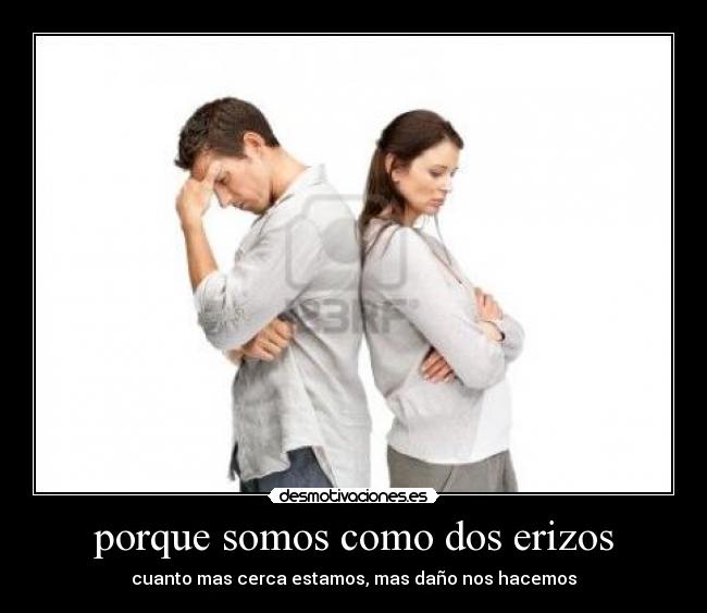 porque somos como dos erizos -