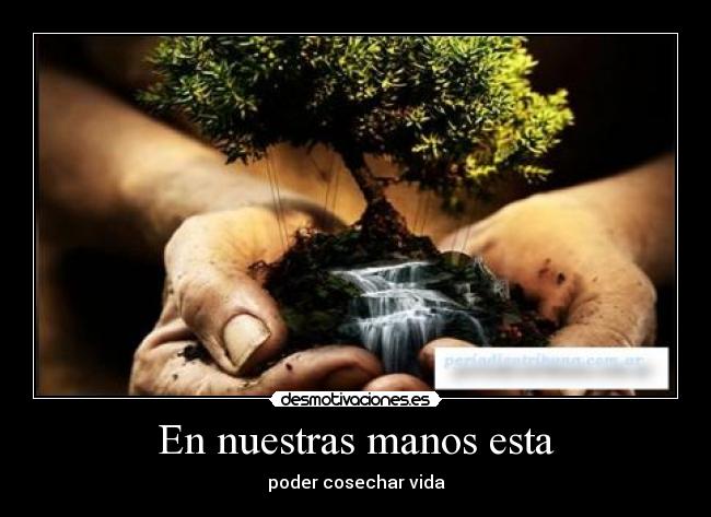 En nuestras manos esta -