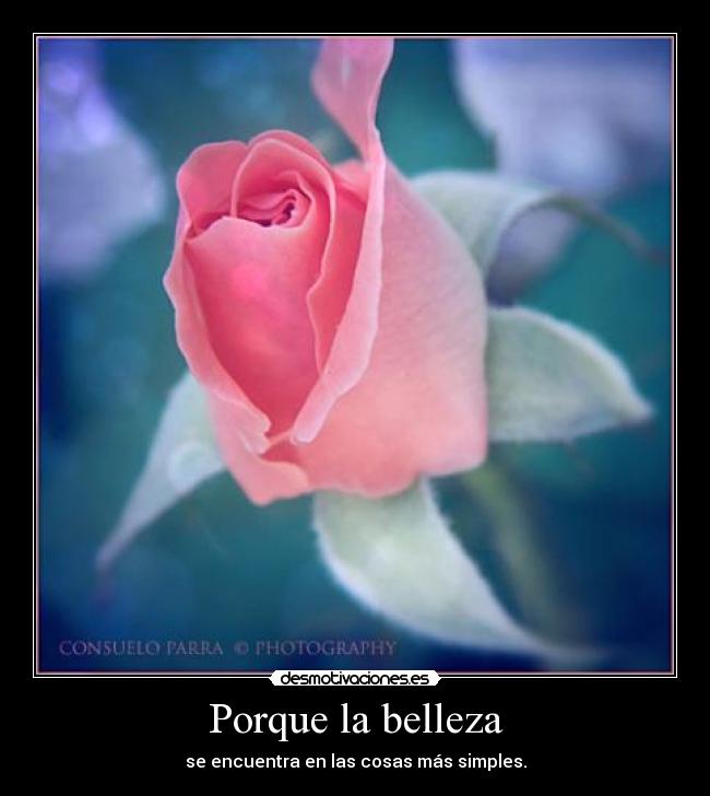 Porque la belleza - 