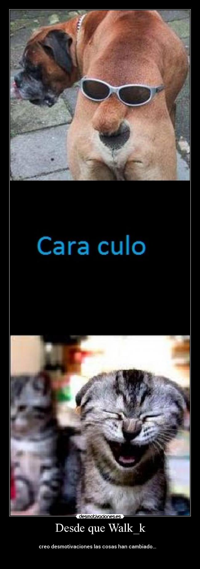 Desde que Walk_k -
creo desmotivaciones las cosas han cambiado...